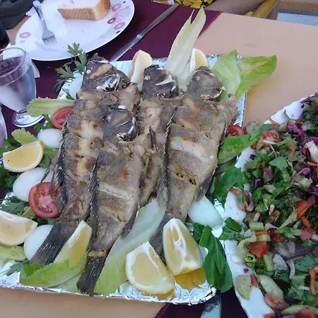 Hotel Mithat