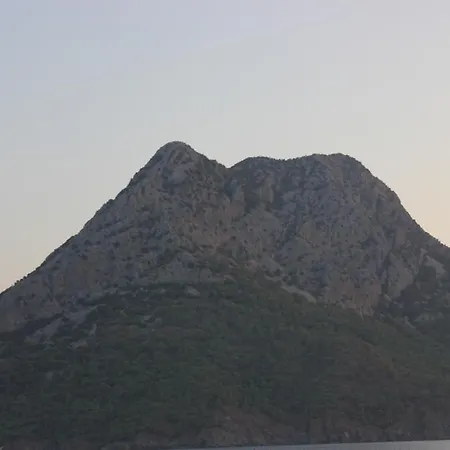 Mithat Adrasan